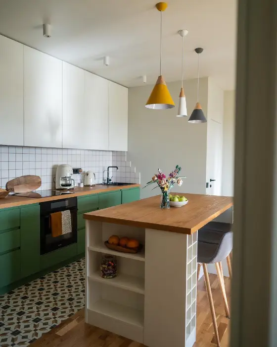 Inspirace pro rekonstrukci kuchyně – ukázka 42