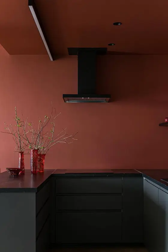 Inspirace pro rekonstrukci kuchyně – ukázka 100